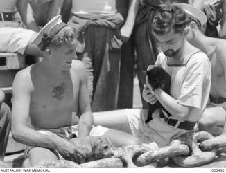 Aboard HMAS Sydney are two ship's mascots who don't agree. Able Seaman J.T. Walker with his pup Shrapnel and Able Seaman Gamble with his cat Salvo. Note tattoo design of an eagle, bearing an Australian flag, on Able Seaman Walker's chest.