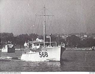 SYDNEY, NSW. STARBOARD BOW VIEW OF THE NAVAL AUXILIARY PATROL VESSEL HMAS MISCHIEF (II) (568). NOTE THE .303 INCH VICKERS MACHINE GUN FORWARD. (NAVAL HISTORICAL COLLECTION)