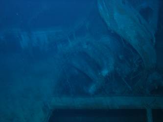 Damaged port 36 inch searchlight yoke and platfom.