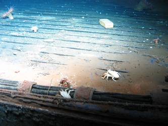 Degaussing wires along main deck port side in vicinity of gun deck