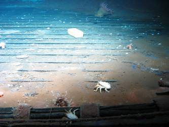 Degaussing wires along main deck port side in vicinity of gun deck