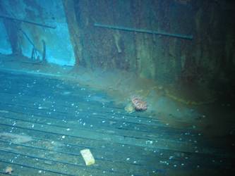 Officers WC's aft end of port side 4-inch gun deck. Burnt