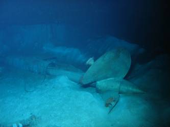 One of  ship's port screws on seabed