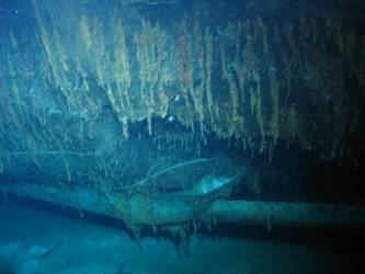 Second of ship's port screws on seabed. Propeller shaft
