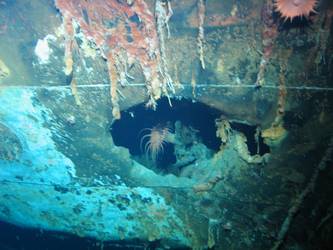 Shell hit on port side of ship