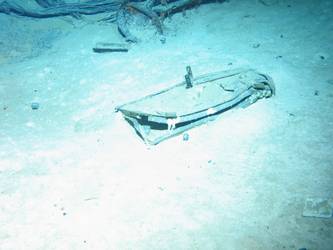 Remnants of leather bag on seabed