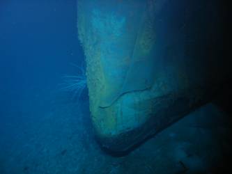 Ship's stern as viewed from starboard side