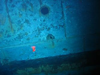 Shell hit above boot topping on stbd side below 4-inch gun deck