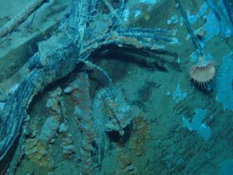 Close-up of shell hit on stb side of ship