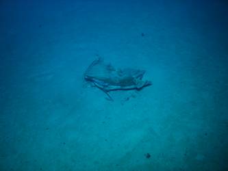 Small item of unidentified wreckage on seabed