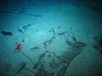 Wire mesh on seabed