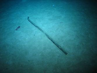 Steel rod