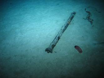 Steel rod with gear on end