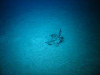 Unidentified wreckage