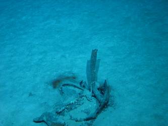 Unidentified wreckage