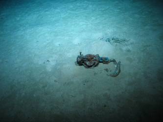 Hook and pulley on seabed - possibly disengaging gear for boat