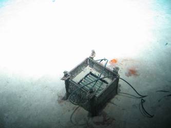 Electrical inverter box