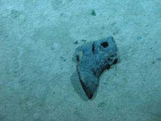 Laced up boot on seabed