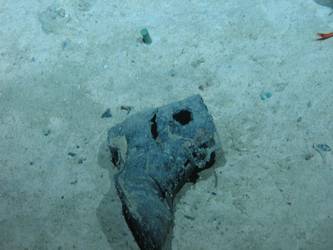 Laced up boot on seabed