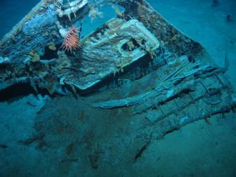 Large piece of unidentified upper works from Sydney