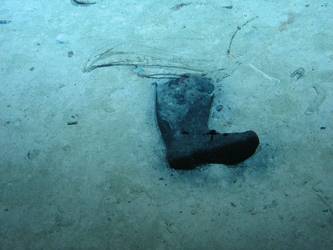 Sea boot