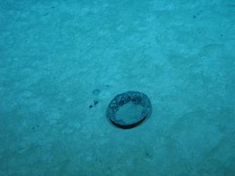British patent steel helmet upside down on seabed