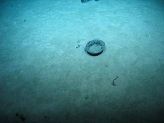 British patent steel helmet upside down on seabed