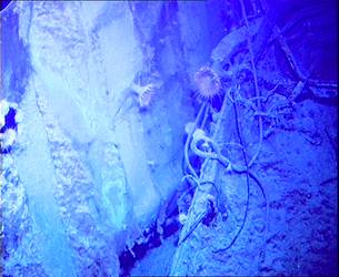HMAS Sydney (II) Wreck - ROV Dive 02 - 4 April 2008 - 10:30