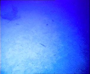 HMAS Sydney (II) Wreck - ROV Dive 02 - 4 April 2008 - 16:31
