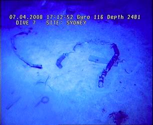 HMAS Sydney (II) Debris Field - ROV Dive 07 - 7 April 2008 - 17:12