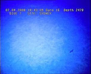 HMAS Sydney (II) Debris Field - ROV Dive 07 - 7 April 2008 - 18:42