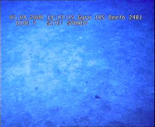 HMAS Sydney (II) Debris Field - ROV Dive 07 - 7 April 2008 - 19:13