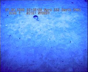 HMAS Sydney (II) Debris Field - ROV Dive 07 - 7 April 2008 - 20:43