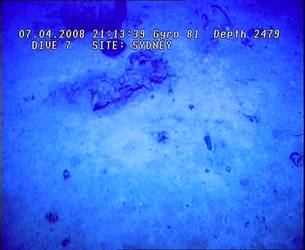 HMAS Sydney (II) Debris Field - ROV Dive 07 - 7 April 2008 - 21:13